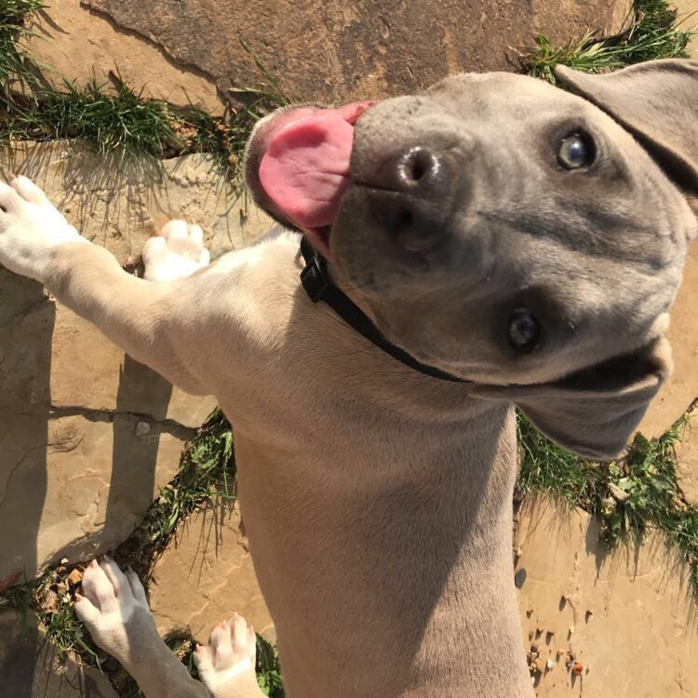 Meet your Posher, Jay